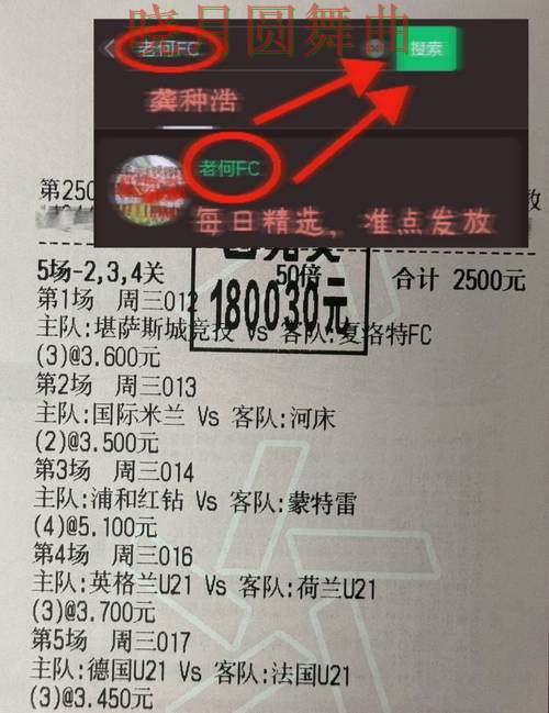 世界杯投注官网德国焦点战数据怎么用